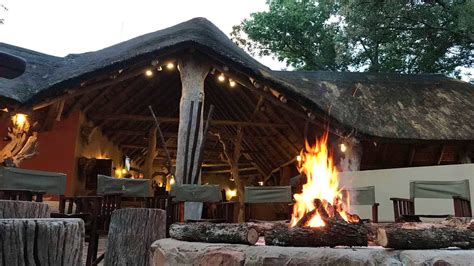 bateleur tented safari lodge and bush spa in lephalale ellisras — best price guaranteed