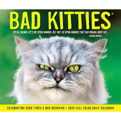 2023 Bad Kitties Box Calendar Michaels