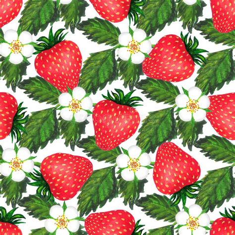 Strawberry Watercolor Seamless Pattern Watercolor Illustration With