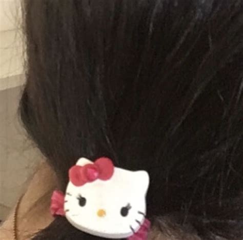 Pin By Heartshapedbug On In 2020 Hello Kitty Kitty