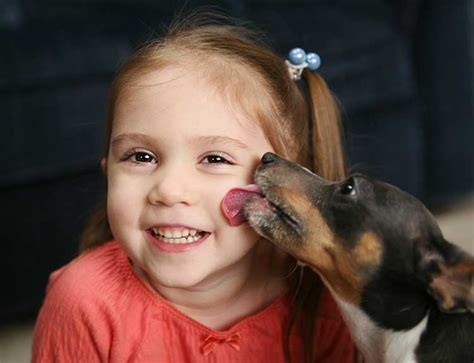 5 Safety Tips For Dogs And Children Dog Training Nation