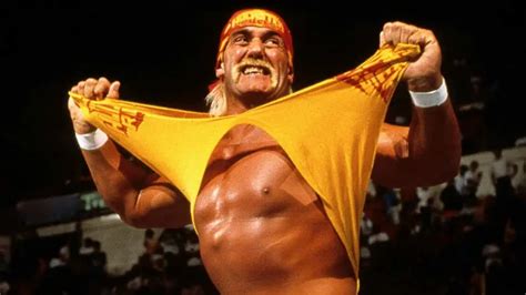Ric Flair Gives A Major Update On Hulk Hogans Health