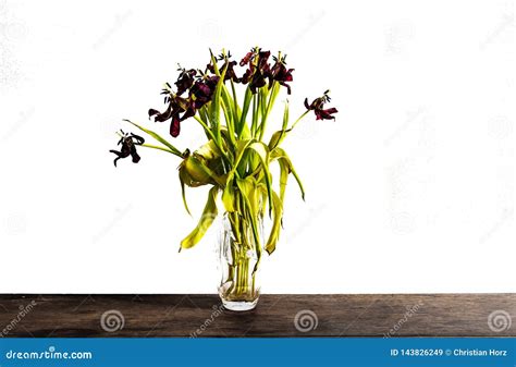 Faded Tulips In Glass Flower Vase On Rustic Wooden Table Against White