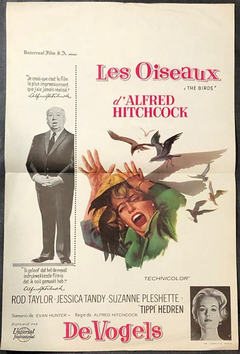 Les Oiseaux The Birds Dalfred Hitchcock Original Movie Poster