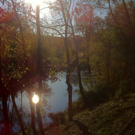 Maybe you would like to learn more about one of these? Right outside our cabin on Glenwood, Arkansas. | Glenwood ...