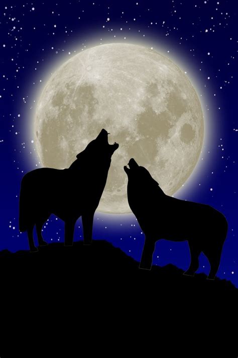 Two Wolves Howling At The Moon Together