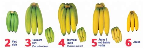 Comment Mûrit La Banane Extra Ordinaire Banane