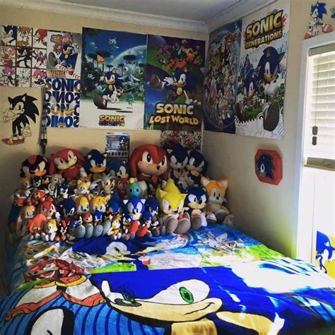 World Of A Hedgehog Hedgehog Room Sonic Bedroom Ideas Sonic