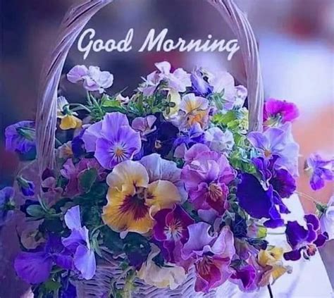 Good Morning Flowers Wallpapers Wallpaper Cave