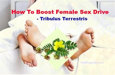 24 Tips How To Boost Female Sex Drive Fast Naturally After 50 And Menopause
