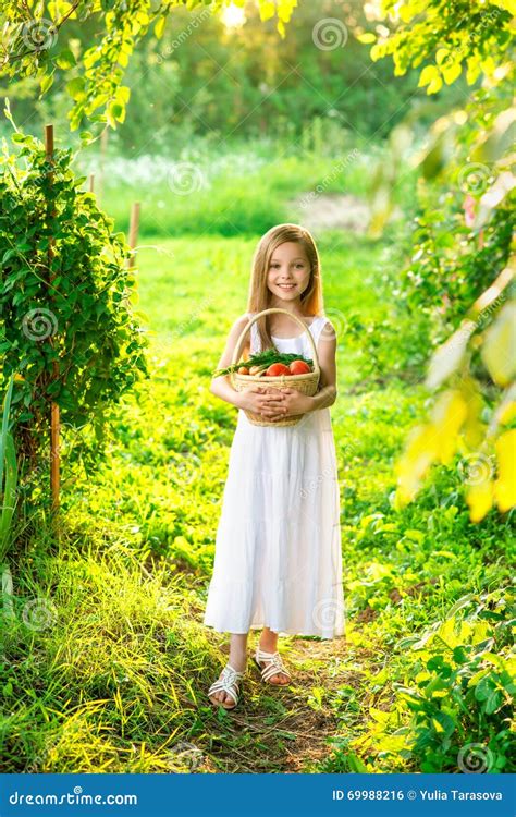 Het Leuke Glimlachende Meisje Houdt Mand Met Fruit En Groenten Stock