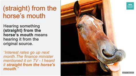 Straight From The Horses Mouth Learnenglish Learn English Idioms
