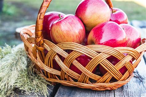 Ripe Red Apples On A Wooden Table In A Wicker Basket Vitamins And A