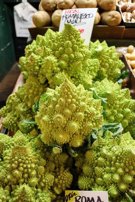 Check spelling or type a new query. The Martha Stewart Blog : Blog Archive : Visiting the ...