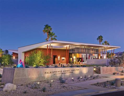 Gallery Of Palm Springs Animal Care Facility Swatt Miers Architects
