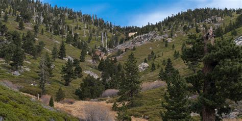 San Gorgonio Via Momyer Creek Trail Vivian Creek Trail Outdoor Project