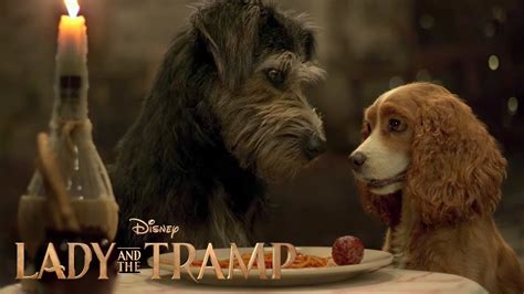 Lady And The Tramp 2019 Trailer 1 Youtube