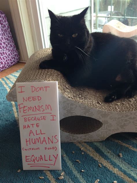 Lola Is A Food Equalist — Confused Cats Against Feminism Is A Project Of We Hunted The Mammoth