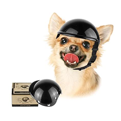 7 Best Dog Motorcycle Helmets Keep Your Canine Co Rider Safe