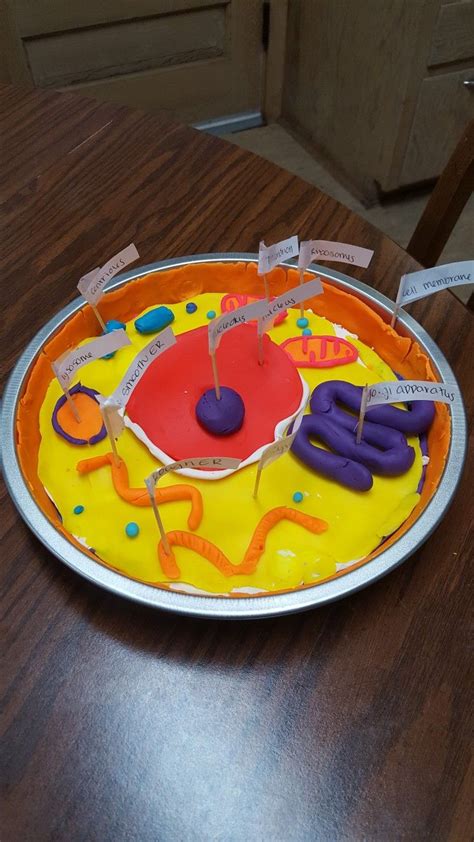 3d animal cell project ✅. Emmys animal cell project (With images) | Cells project ...