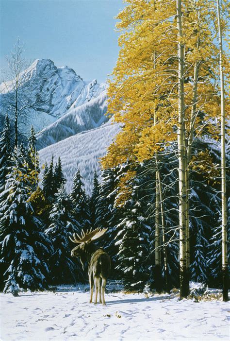 Trembling Aspen Painting By Ron Parker