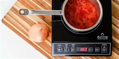 The Best Portable Induction Cooktop For 2021 Reviews By Wirecutter