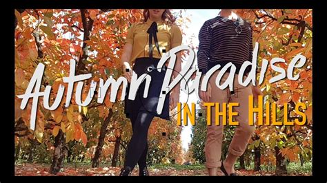 Autumn Paradise Raeburn Orchard Perth To Do Youtube