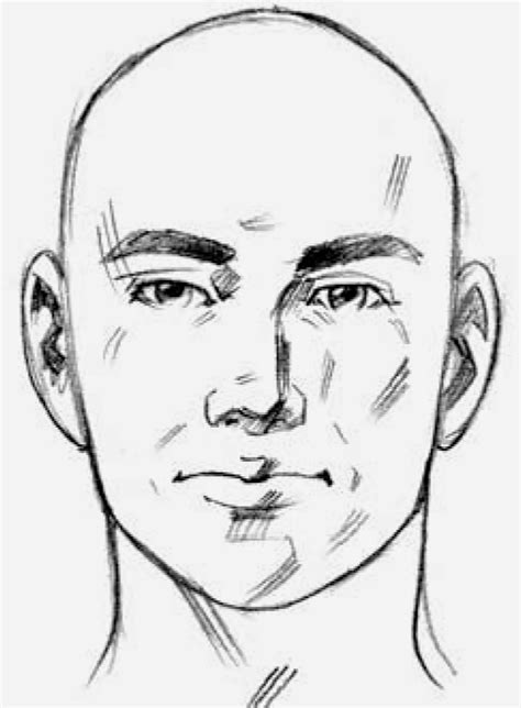 Useful drawing references and sketches for beginner artists. Drawings: Parts of the Head