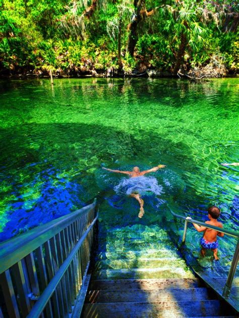 Everything You Need To Know About Visiting Blue Spring State Park Near