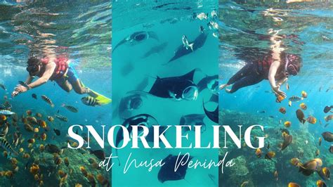 Amazing Snorkeling Spot In Nusa Penida Swim With Manta Rays K YouTube