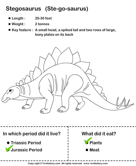 Amazing Dinosaur Facts Worksheet Turtle Diary