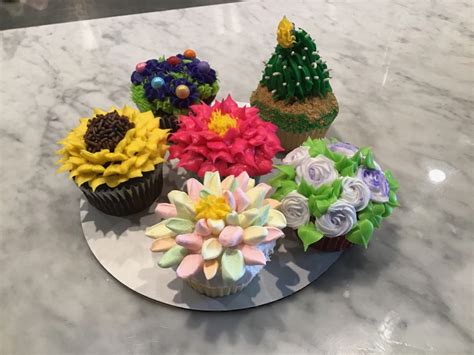 Diy Cupcake Kits Delivered To Your Home Colorado Homes And Lifestyles