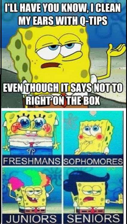 Lol Spongebob Funny Spongebob Memes Funny Memes