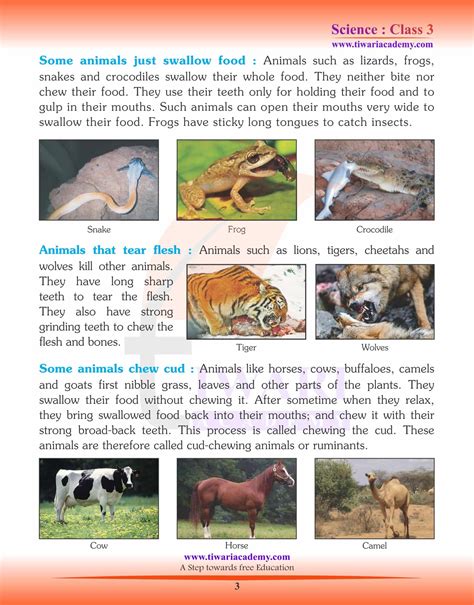Solutions For Class 3 Science Chapter 5 Animals Food Feeding Habits