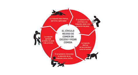 Como Num Circulo Vicioso E Obsessivo