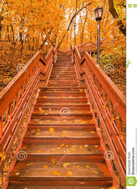Wooden Stairs With Leaves In The Autumn Forest Stock Image Image Of