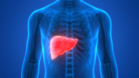 Liver Cancer The Warning Sign Under Your Ribs And 16 Other Symptoms Of