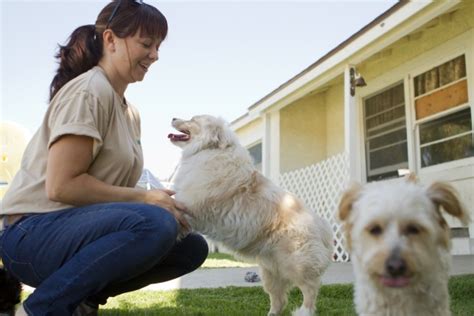 Know The Ways To Keep Your Pet Happy And Healthy Through Pet Care The