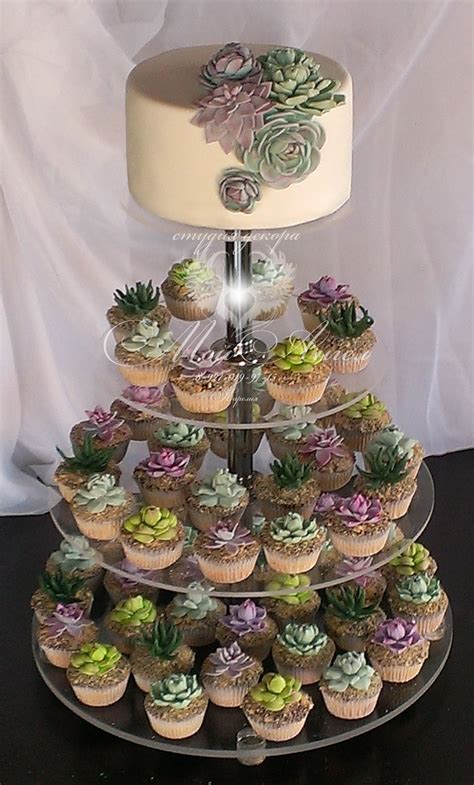 Succulent Wedding Cake And Cupcakes Best Succulent Ideas