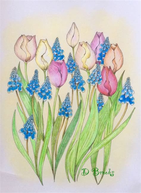 Tulips And Grape Hyacinths Bouquet From Botanica By Robert Roskam Adult