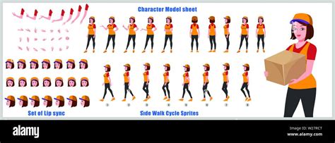 Businesswoman Character Model Sheet With Walk Cycle Animation Sequence