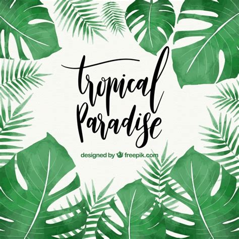 熱帯の葉を無料でダウンロード | Tropical leaves, Tropical, Tropical theme