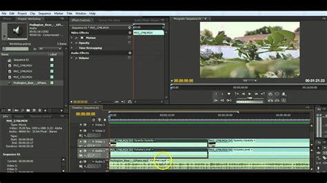 Как убрать ненужное из видео в premiere pro. Introducing Adobe Premiere Pro CS4: Basic Video Editing ...