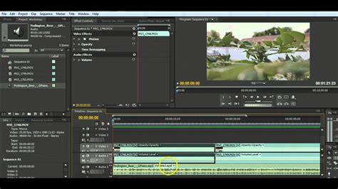 Adobe premiere pro is the leading video editing software for film, tv, and the web. Introducing Adobe Premiere Pro CS4: Basic Video Editing ...