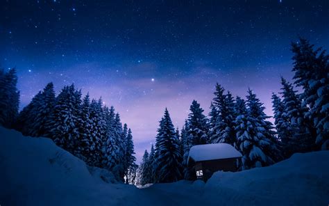 Winter Forest Road Starry Sky Night Desktop Wallpaper