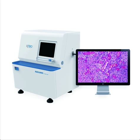 Digital Pathology Slide Scanner With 2 Slides Module China Laboratory