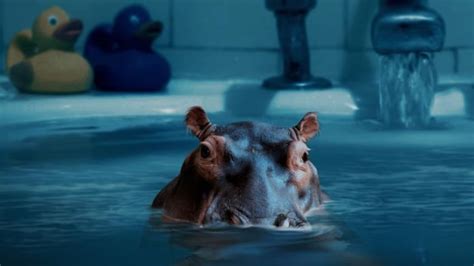 The North American House Hippo Is Back — And Ready To Tackle Fake News