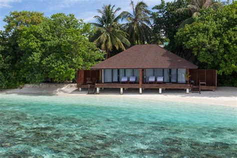 Lily Beach Resort Maldives Resort Price Address And Reviews