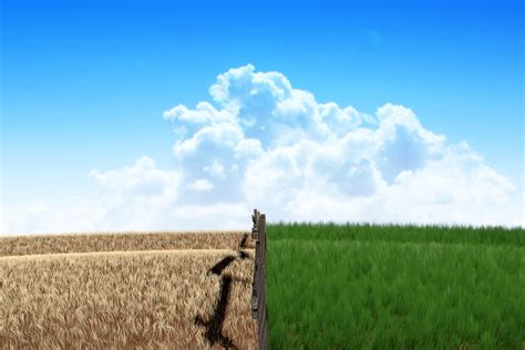 When someone is not satisfied with their own lot in life and always assumes that there are better things in other places. Long-Term Medi-Cal: Is the Grass Greener on the Other Side of the State Line?