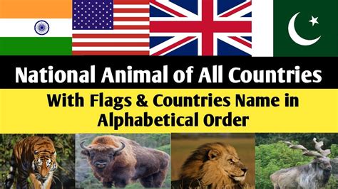 National Animals Of All Countries National Animals Of Countries New